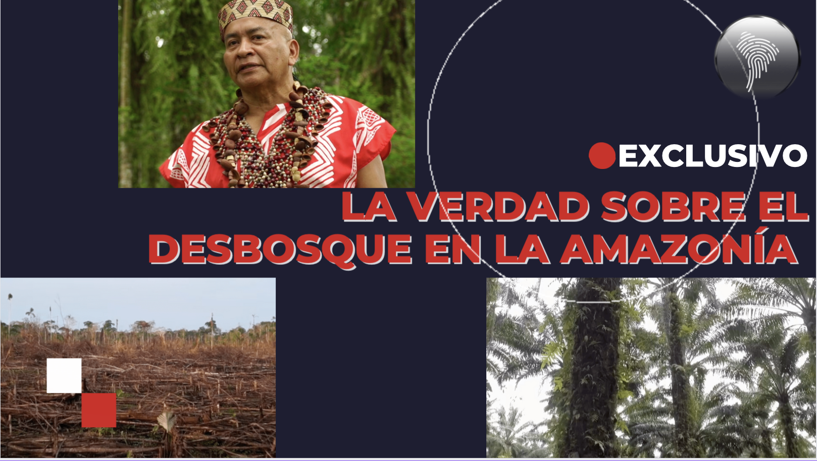 La verdad sobre el desbosque en la amazonía