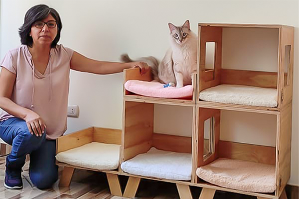 Misipa Wasin: casitas para gatos “que duran siete vidas”