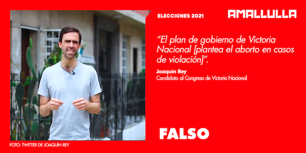 Afirmación de Joaquín Rey acerca de que plan de gobierno de Víctoria Nacional incluye el aborto en caso de violación es falsa