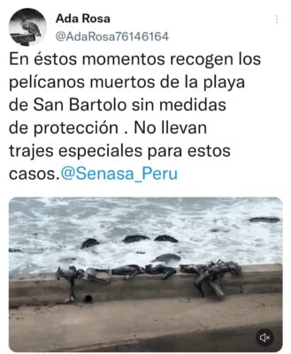 Senasa Perú