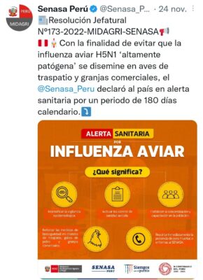 Influenza - Senasa