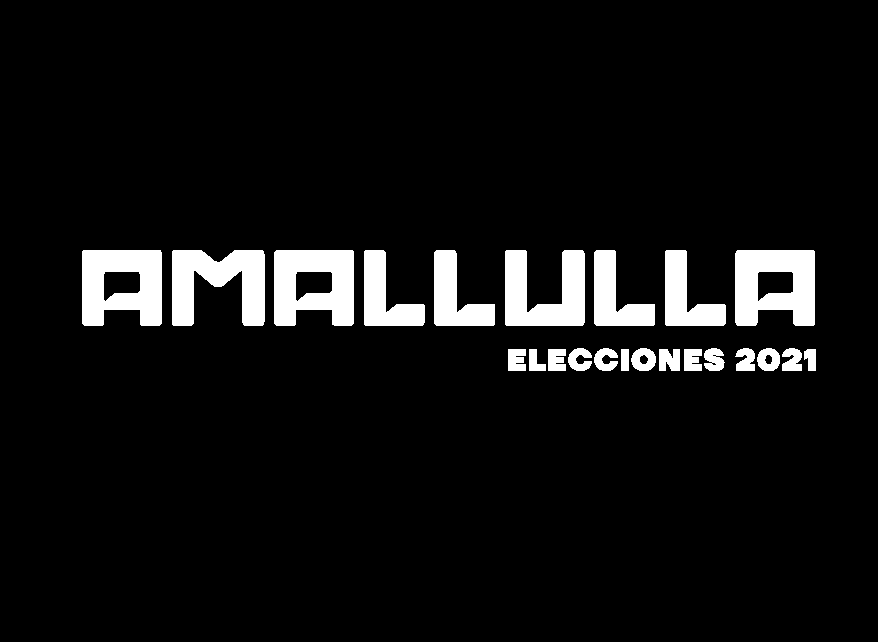 Ama Llulla: Una cruzada de medios contra la mentira en la campaña electoral del 2021