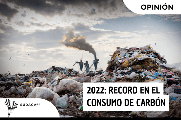 2022: record en el consumo de carbón
