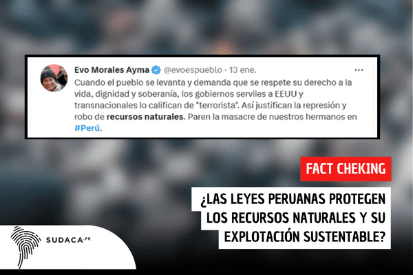¿Las leyes peruanas protegen los recursos naturales y su explotación sustentable?