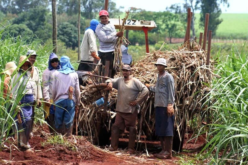 trabajadores de las azucareras lambayecanas